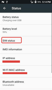 Alcatel Raven SIM Status