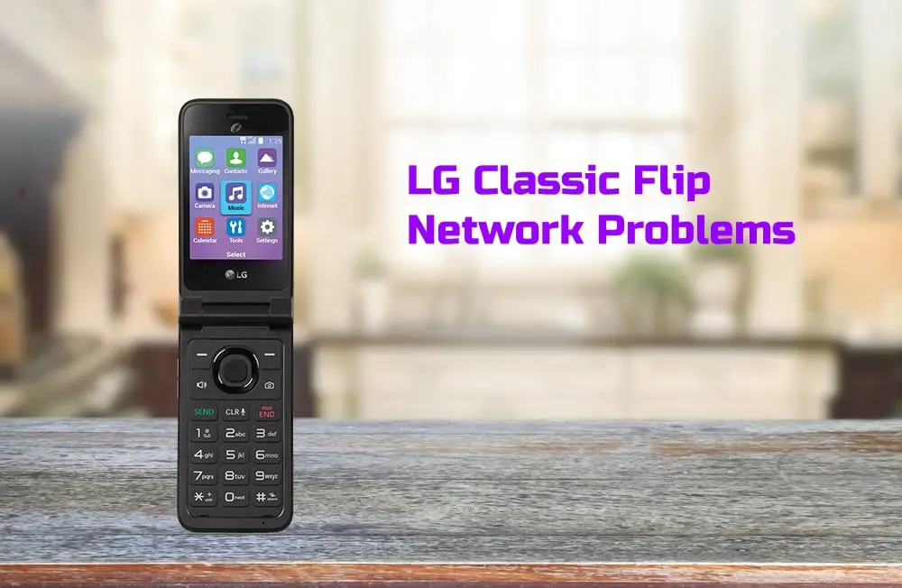 LG Classic Flip Network Problem
