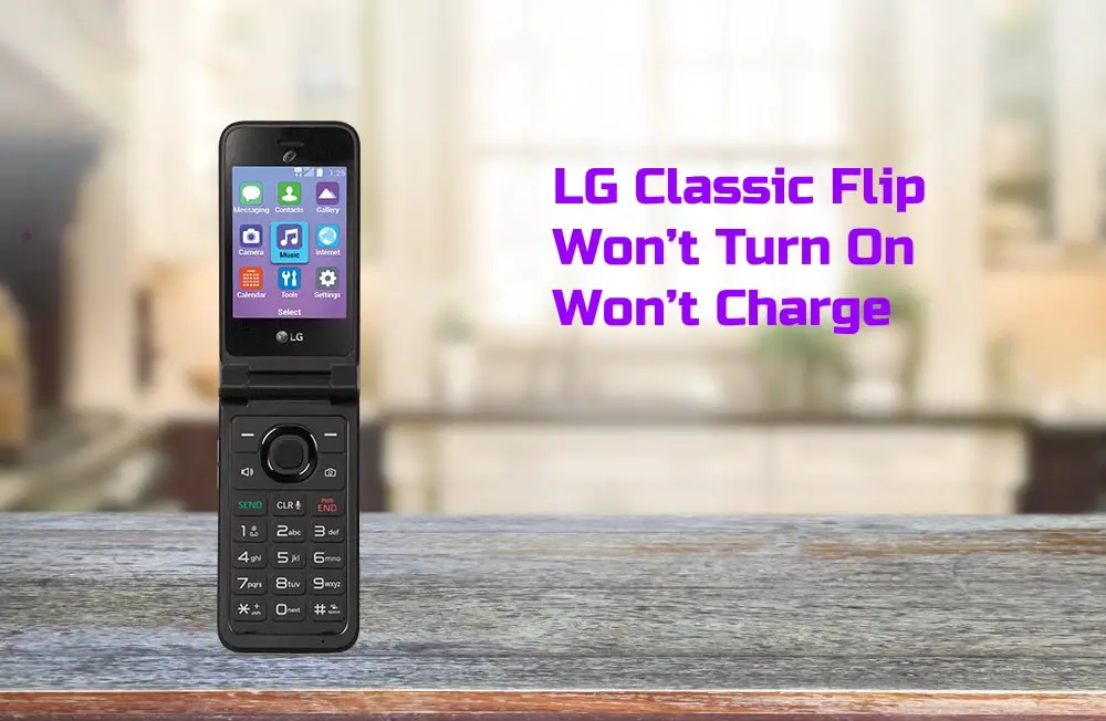 LG Classic Flip Wont Turn On